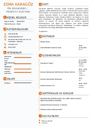 Yönetici Asistanı Cv Örnekleri cv indir